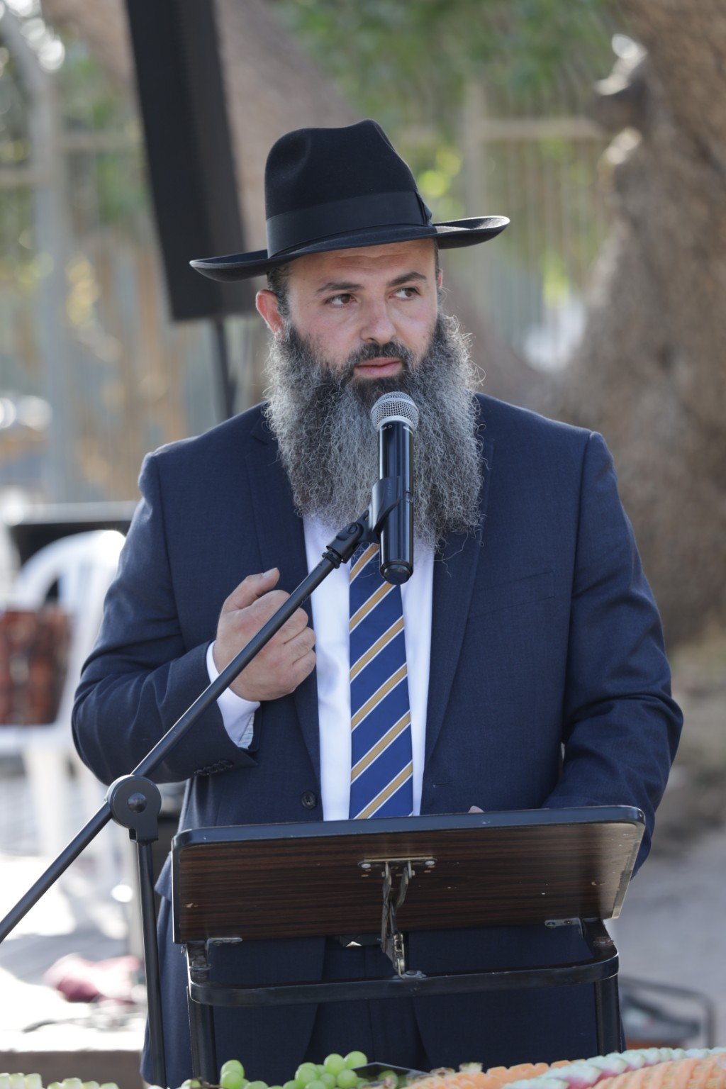 פעילות המרכז